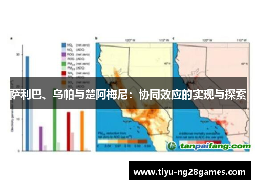 萨利巴、乌帕与楚阿梅尼：协同效应的实现与探索