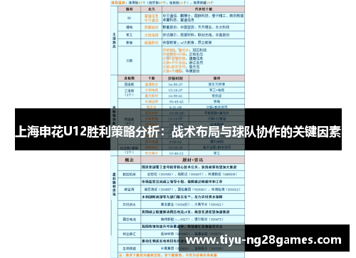 上海申花U12胜利策略分析：战术布局与球队协作的关键因素