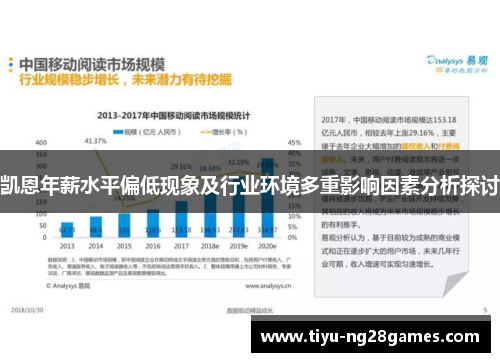 凯恩年薪水平偏低现象及行业环境多重影响因素分析探讨
