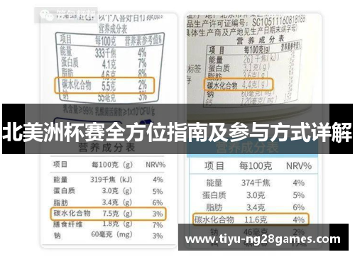 北美洲杯赛全方位指南及参与方式详解