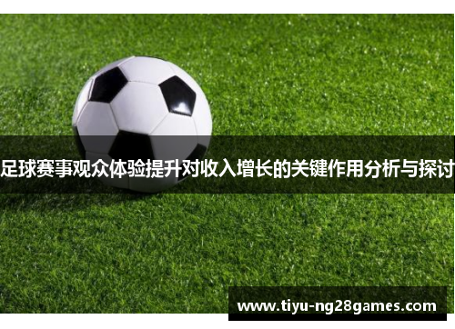 足球赛事观众体验提升对收入增长的关键作用分析与探讨