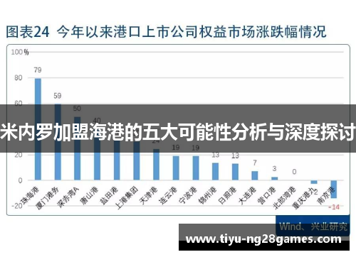 米内罗加盟海港的五大可能性分析与深度探讨