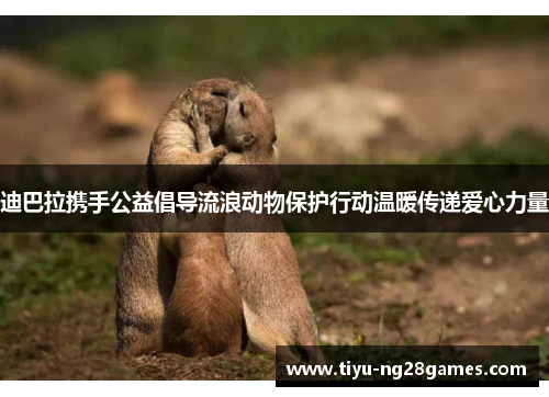 迪巴拉携手公益倡导流浪动物保护行动温暖传递爱心力量